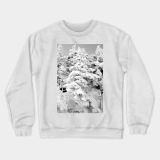 At The Top / B&W Crewneck Sweatshirt